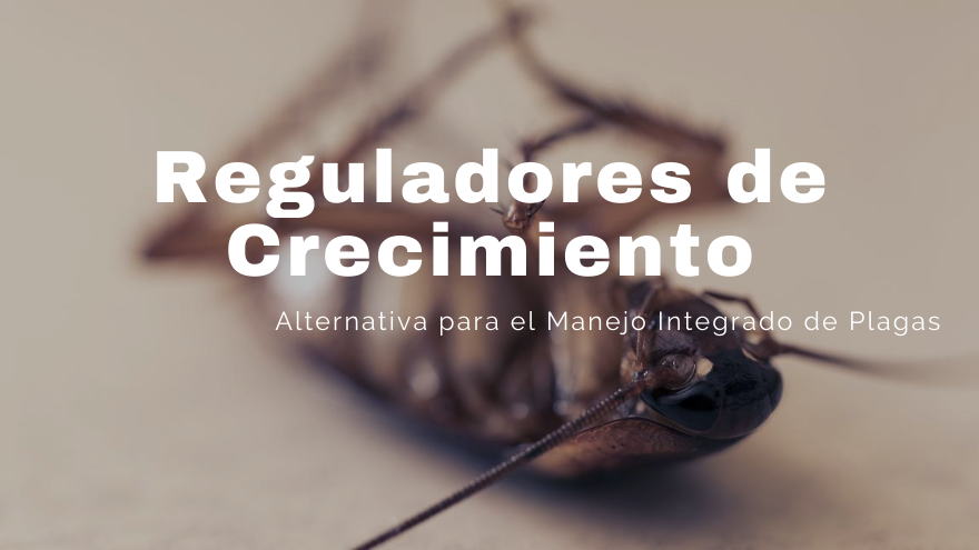 REGULADORES DE CRECIMIENTO