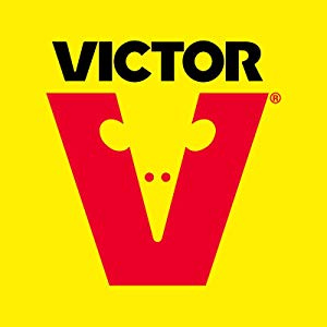 LOGO VICTOR