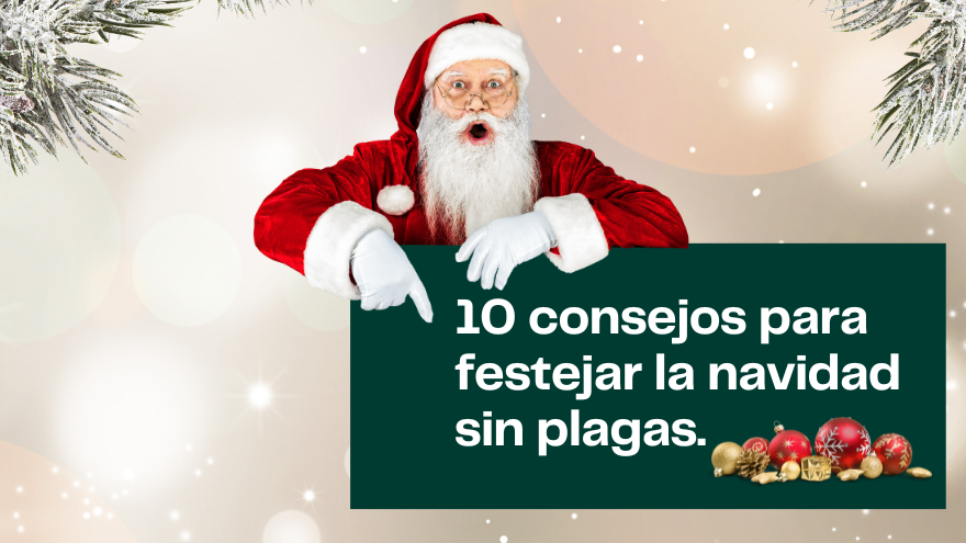 BLOG NAVIDAD