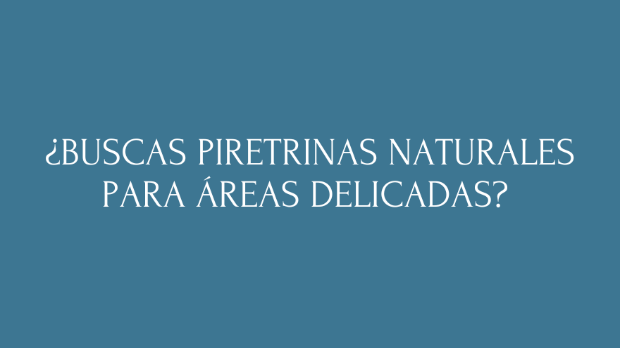 BLOG PIRETRINAS