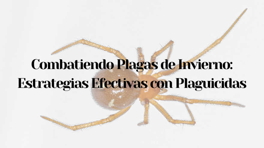 BLOG PLAGAS