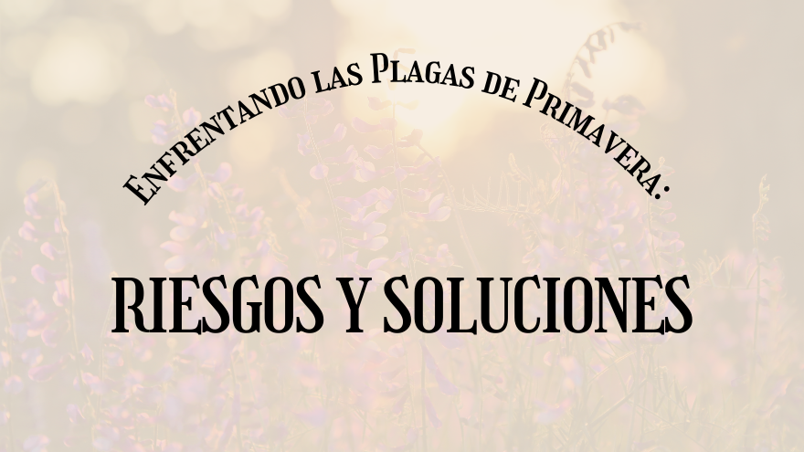 BLOG PLAGAS PRIMAVERA