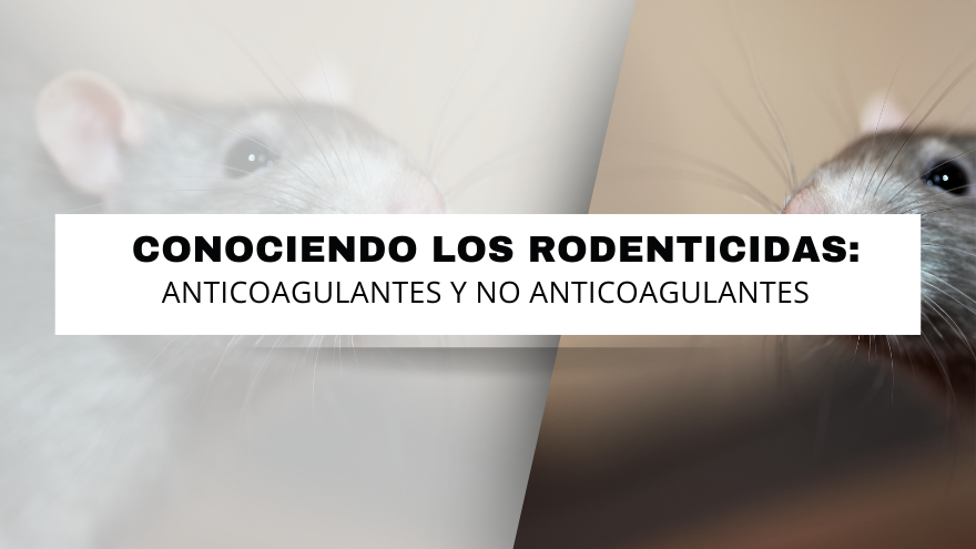 BLOG RODENTICIDAS