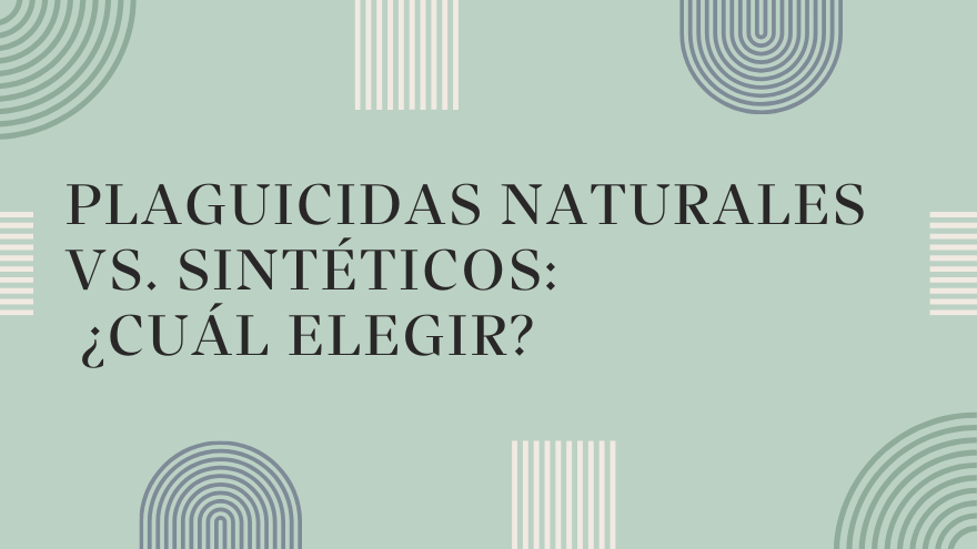 BLOG TIPOS DE PLAGUICIDAS