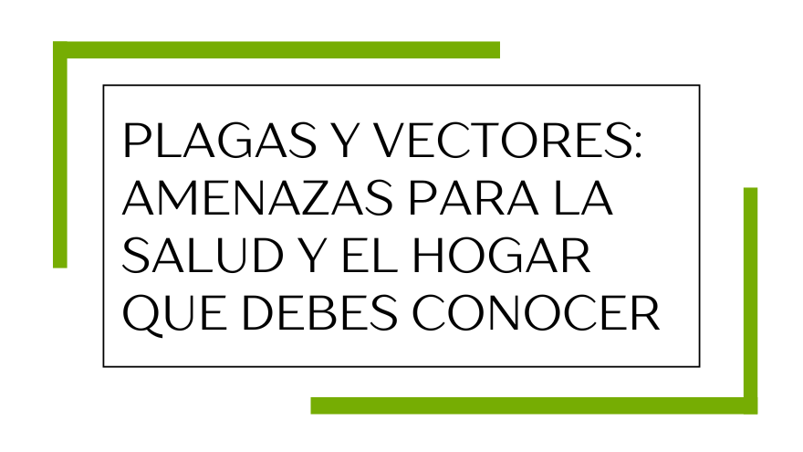 BLOG PLAGAS Y VECTORES