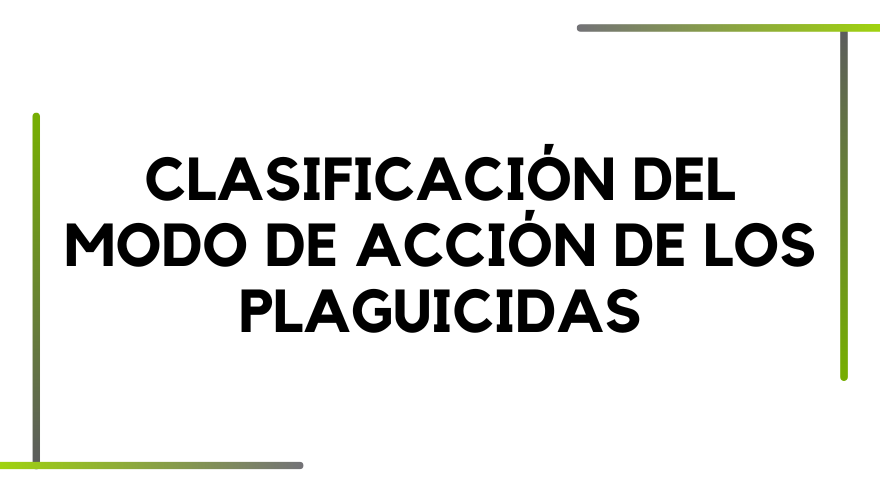 BLOG PLAGUCIDAS