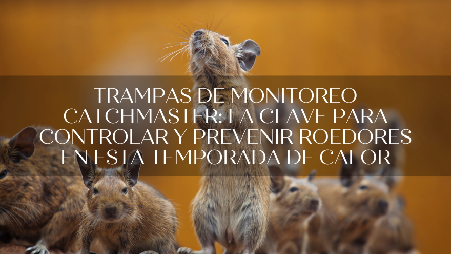 BLOG TRAMPAS