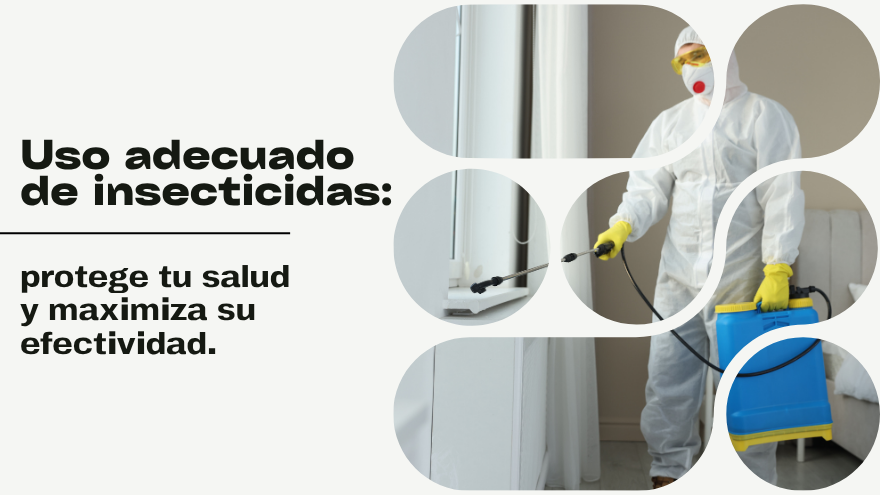 BLOG INSECTICIDAS
