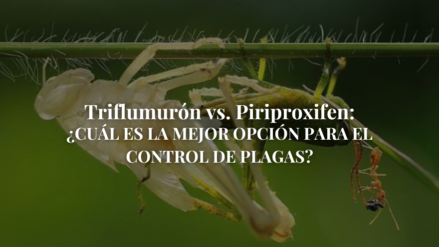 Triflumurón vs. Piriproxifen